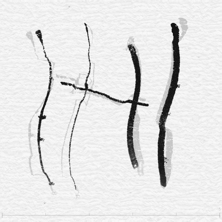 FBM distort — refraction through water