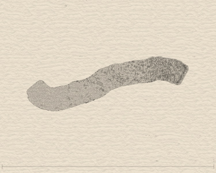 Path Rotation Mode 3